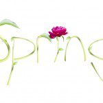 spring spring